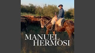 Un Dolor Hecho Canción