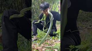 Download lagu u1ar ini sering dijumpai di hutan #snake mp3 Download lagu u1ar ini sering dijumpai di hutan #snake mp3