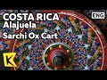 K Costa Rica Travel Alajuela 코스타리카 여행 알라후엘라 사르치 예술마을의 꽃마