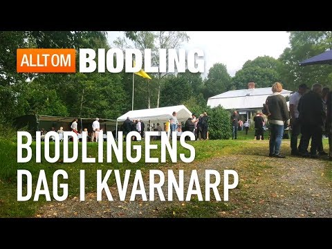 Biodlingens dag i Kvarnarp - Biodling, honung & biväxter