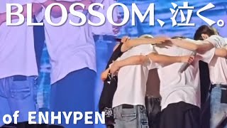 Download lagu 【号泣注意】BLOSSOM of ENHYPEN【FMV】 mp3 Download lagu 【号泣注意】BLOSSOM of ENHYPEN【FMV】 mp3
