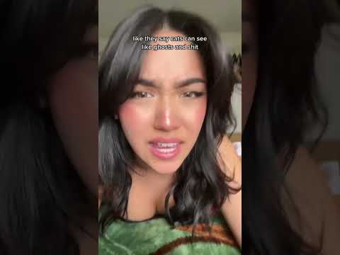 cat owners help me pls #girl #shorts