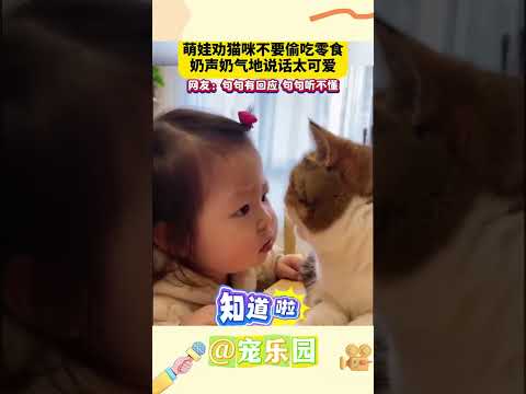 萌娃勸貓咪不要偷吃零食 奶聲奶氣地說話太可愛 網友：句句有回應 句句聽不懂 #寵樂園 #輕鬆一刻 #動物