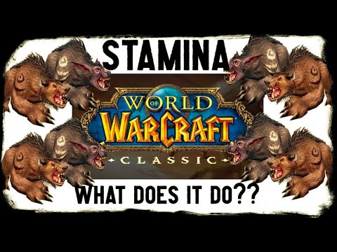 WoW Classic - Stats and the stuff they do -  Stamina!