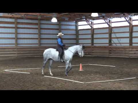 The Horseman's Gazette Issue No.46 - Spring 2021