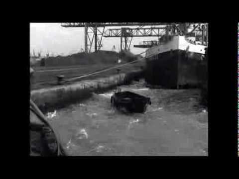 Meeuwen sterven in de haven   trailer