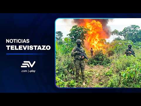 FF. AA. destruyeron 15 mil plantas de coca en Putumayo, Sucumbíos | Televistazo | Ecuavisa