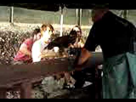 Emilio Maltalenti nel parco "L'eco della Valle"