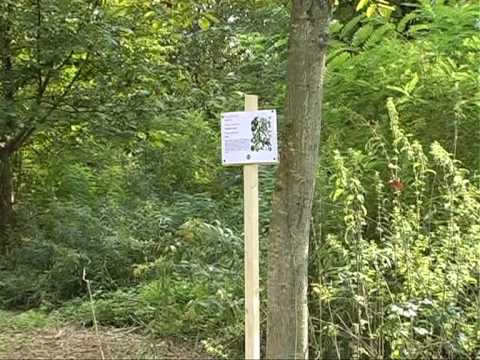 Un Po di asini in festa