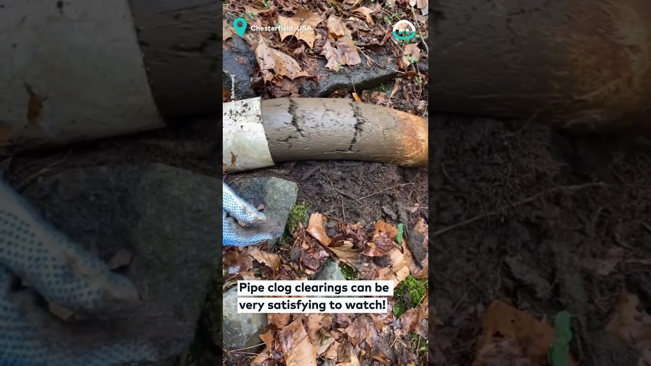 Satisfying Pipe Clog Clearing || ViralHog