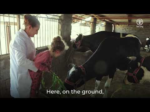 Cultivating Resilience: FAO Iraq's Journey to Food Security