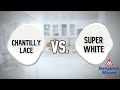 The ULTIMATE White Paint Color! | CHANTILLY LACE OR SUPER WHITE?