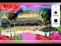 Babytv Go Eco Mooses Deers