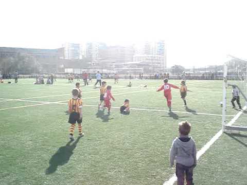 Victor Cecilia,Bufala c.f.