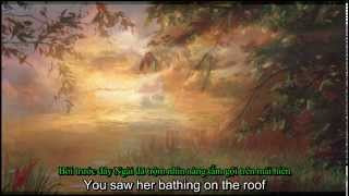 Halleluja - John Cale - Lyrics + Vietsub