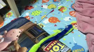 今日の、らにとぽんず。2018. 11.18 today's my kitty  まだ仲良くなれない仔猫と大猫さん。
