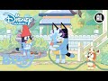 Bluey | ?  Gezonde Gewoonten | Disney Channel NL