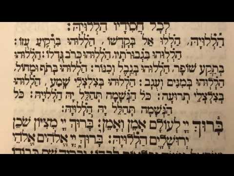 Tefilah 13 Haleluka, Halelu Ke-l Bekodsho - Sharchris - תפילה 13 הללו׳ הללו קל בקדשו – שחרית
