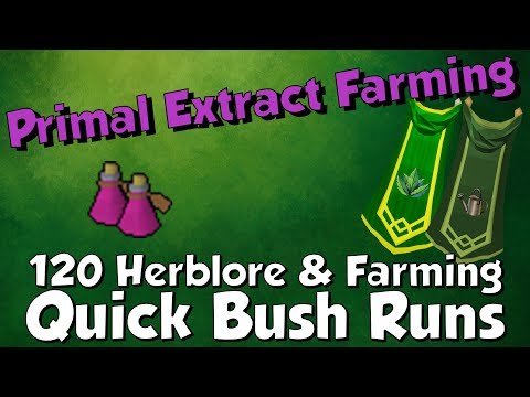 Rs3 Bush Patch