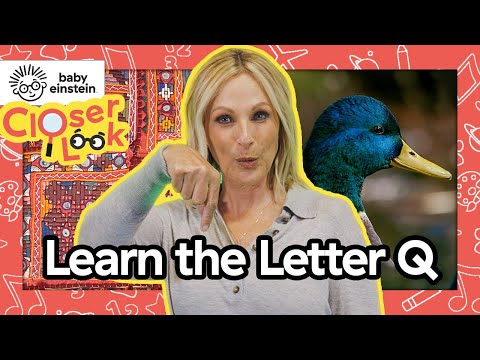 NEW! Closer Look: The Letter Q 🔍 | Learning Letters With Marlee Matlin ⭐️ | Baby Einstein |Alphabet