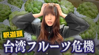 私たちが助けるしかない⋯！釈迦頭プロジェクト始動！