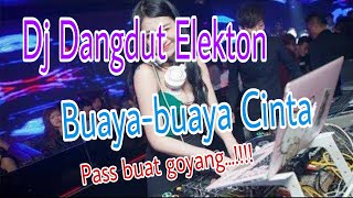 Download lagu Buaya buaya cinta Dj dangdut electon... mp3