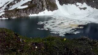 preview picture of video 'Roßkarsee Lechtal Alps Austria in June'