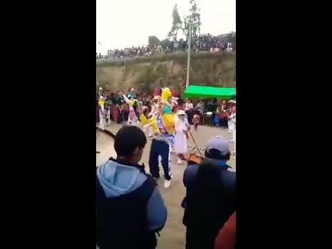 Negrillos de andahuaylas 2020