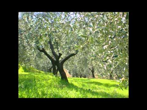 Sladeshow "LA CASA DI IDA"