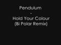 Pendulum - Hold Your Colour (Bi Polar Remix ...