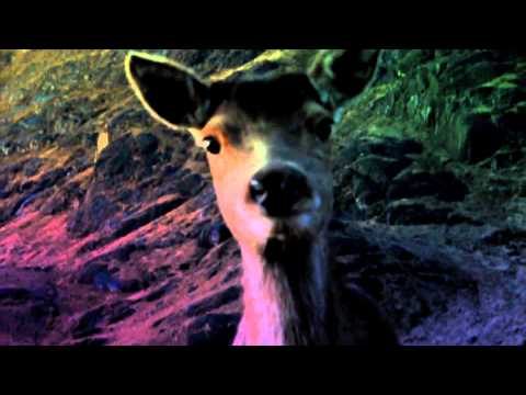 Zoológico Club Madrid - 31 MARZO 2012 - KOSTROK + KTH  HD