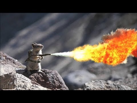 Bunker Bullion 25: 🐻 ExBearimenting with HUGE Torch 🔥