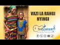 VAZI LA RANGI NYINGI