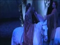 CAVALIA SCENE 13 Wmv