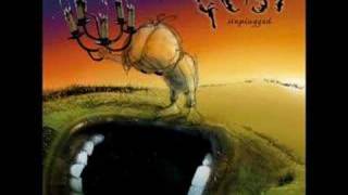 Geist - Unplugged - Leider