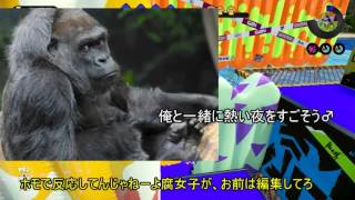 【ゆっくり実況】全力で楽しむスプラトゥーン！！＃２　ゴリラも出てくる！？