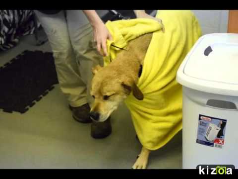 Kizoa Online Movie Maker: Rozi's Spa Day