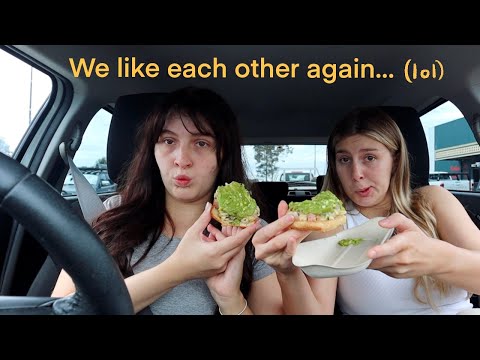 A vlog where we actually get along?..