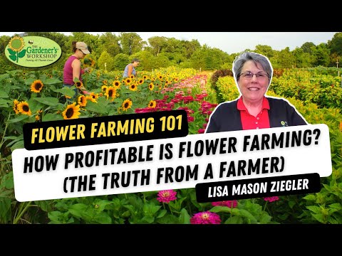 How Profitable is Flower Farming? (the truth from a farmer)
