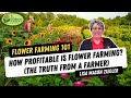 How Profitable Is Flower Farming The Truth From A Farmer