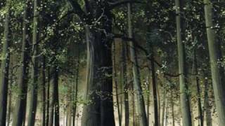 Mystica - Axel Rudi Pell.wmv