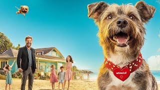 My Dog is a Robot | Family Comedy | Full Movie in English