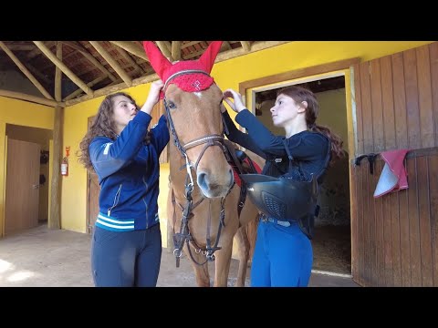 Turismo rural: conheça uma pousada e um centro de equitação em Piraquara