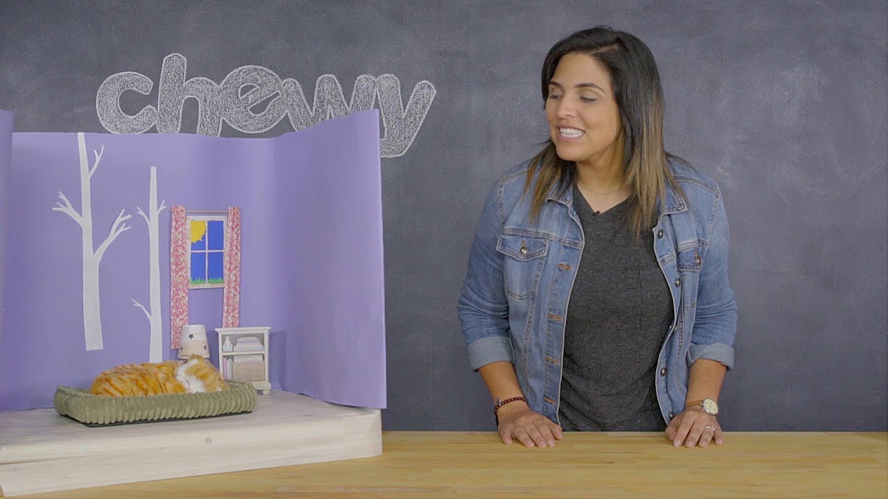 Watch video Fancy Feast Broths Cat Food Toppers | Chewy Now Fancy Feast Broths Cat Food Toppers | Chewy