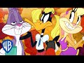 Looney Tunes In Italiano Introduzioni Vol 1 WB Kids