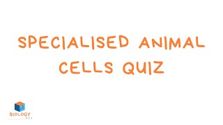 Specialised Animal Cells Quiz - With Answers - KS3 Cell Biology