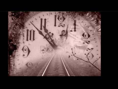 Darner - Wir lebten für den Tag