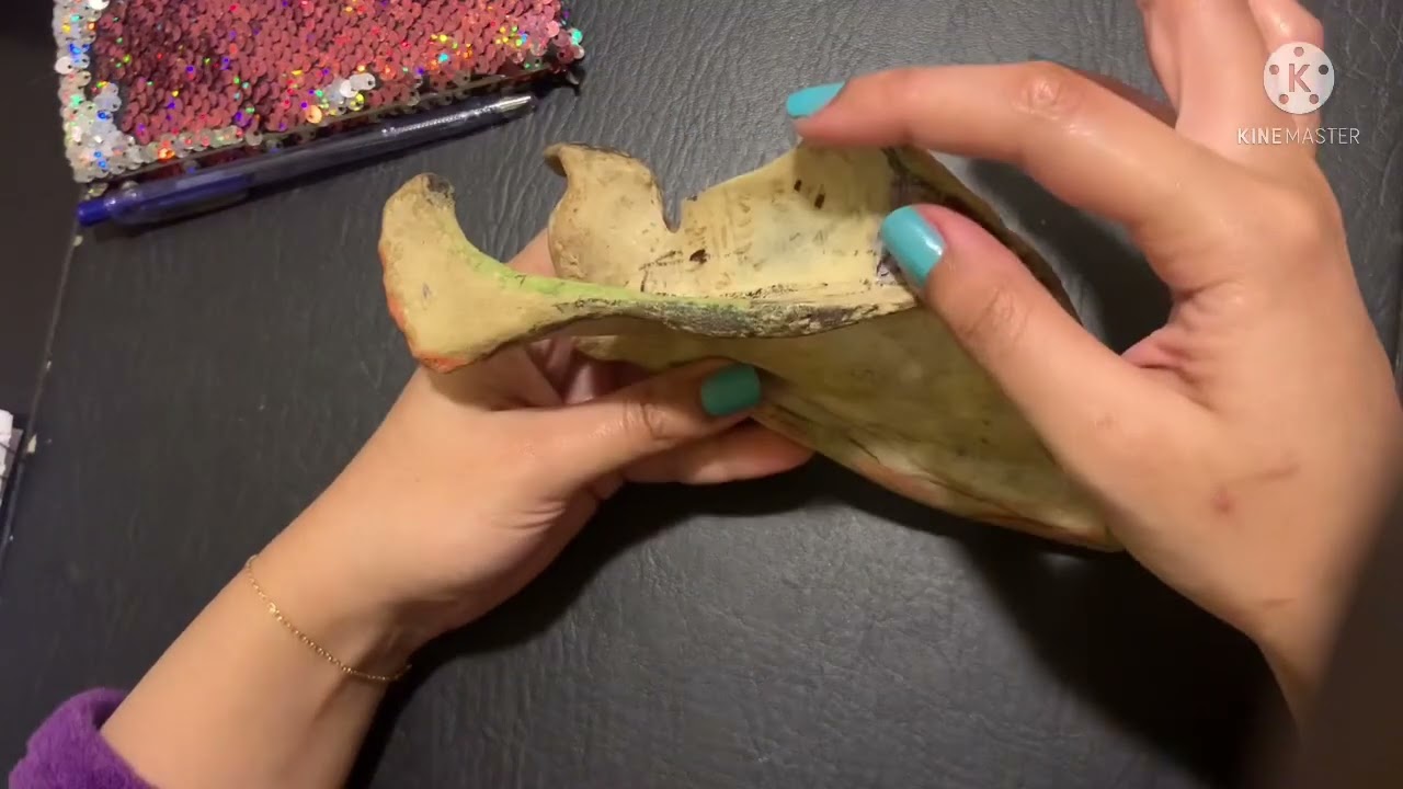 Muscle Attachments on Scapula | Origins and Insertions on Scapula | Part 3