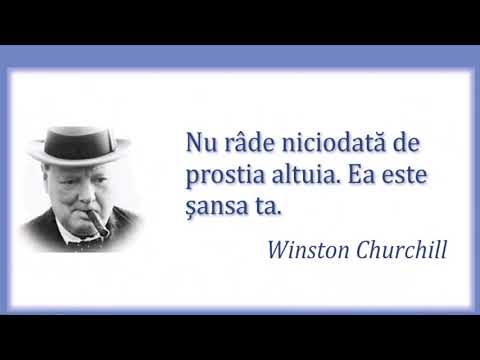 Cele mai frumoase citate despre prostie.