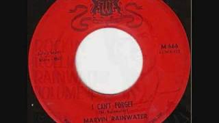 MARVIN RAINWATER    I Can't Forget